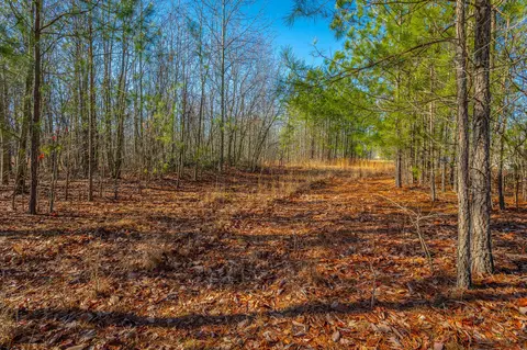 0 Cherokee Path #242, Jasper, TN 37347 photo 9
