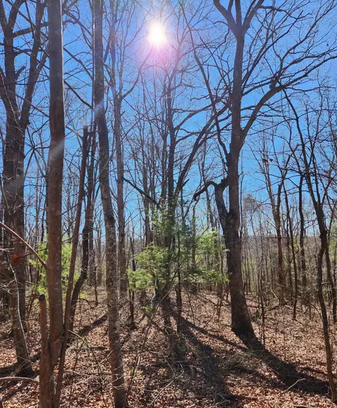 20 Devon Loop #20, Crossville, TN 38558 photo 5