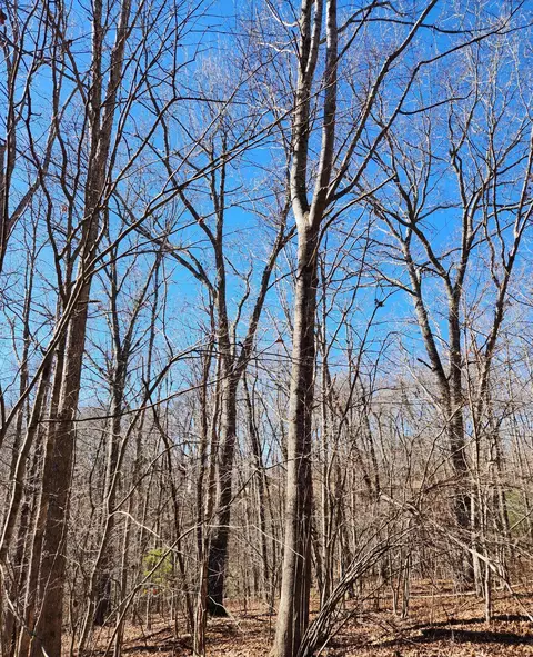 20 Devon Loop #20, Crossville, TN 38558 photo 2