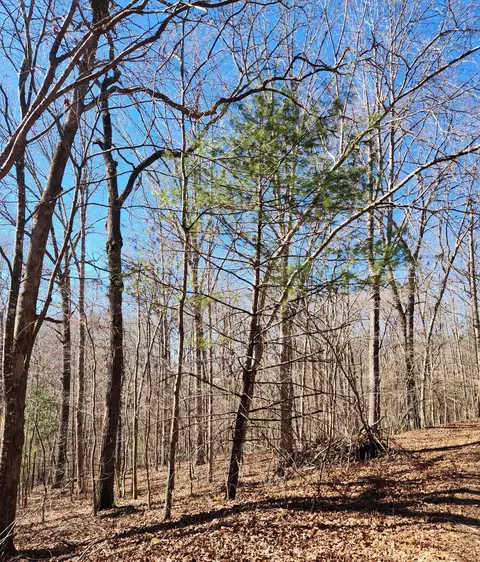 20 Devon Loop #20, Crossville, TN 38558 photo 3