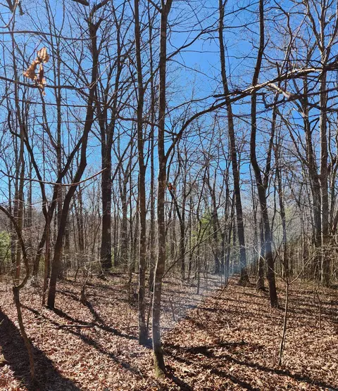 20 Devon Loop #20, Crossville, TN 38558 photo 6