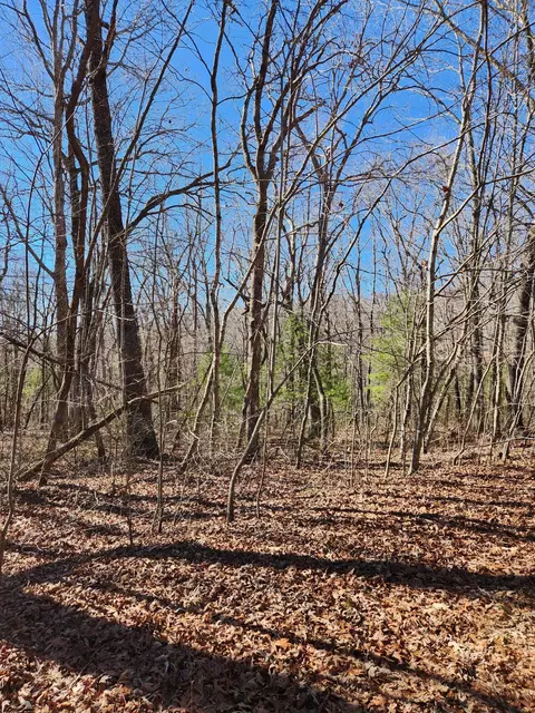 22 Devon Loop #22, Crossville, TN 38558 photo 4