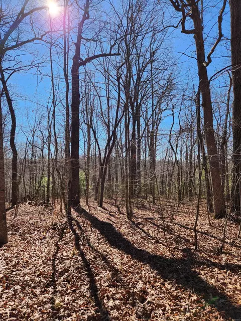 22 Devon Loop #22, Crossville, TN 38558 photo 2