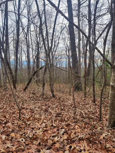 22 Devon Loop #22, Crossville, TN 38558 photo 7