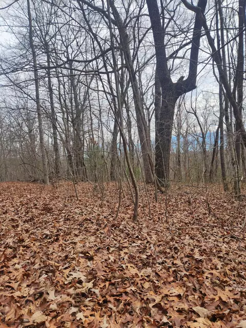 22 Devon Loop #22, Crossville, TN 38558 photo 6