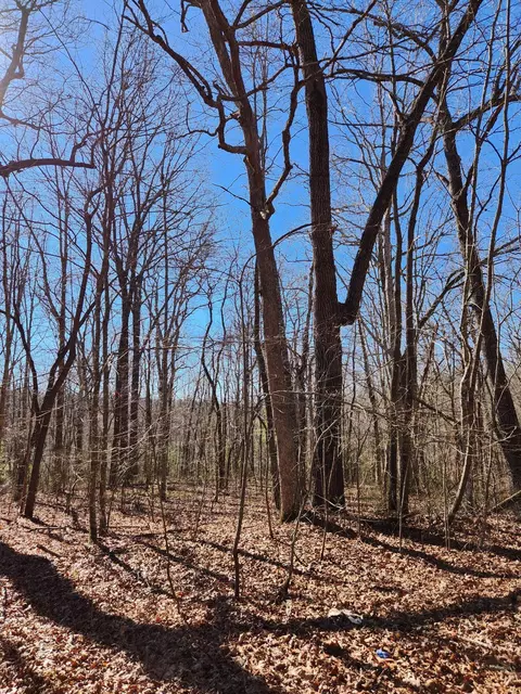 22 Devon Loop #22, Crossville, TN 38558 photo 3