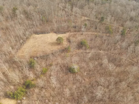 1555 Palmer Firetower Rd, Palmer, TN 37365