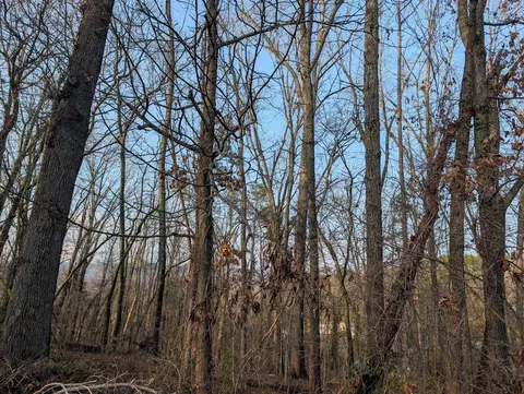 0 Pine Breeze Cir #LOT 2, Rockwood, TN 37854