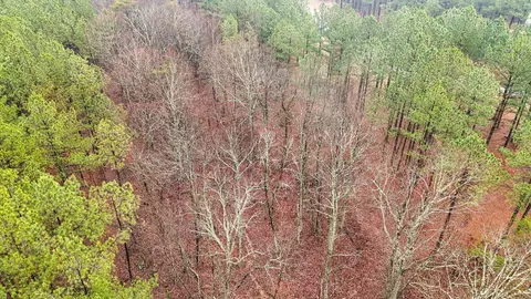 114 Compass Dr, Jasper, TN 37347 photo 9