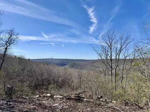 0 Hobbstown Rd #LOT 7, Dunlap, TN 37327