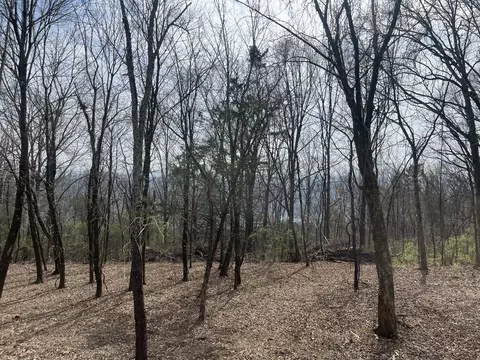 1422 Sunset Dr, Signal Mountain, TN 37377
