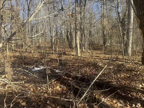 280 Chapman Rd #TRACT 2, Dunlap, TN 37327