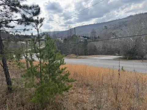 10 Tanglewood Trl, Trenton, GA 30752