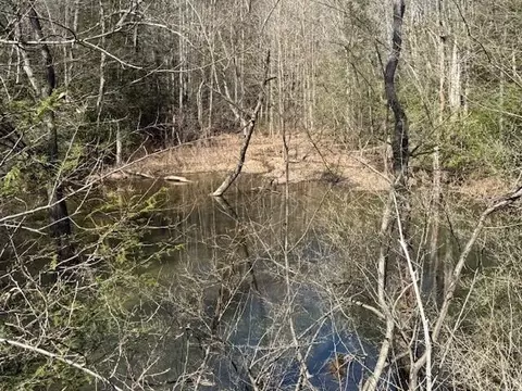 2 00 Red Rock Canyon Rd #2.00, Graysville, TN 37338