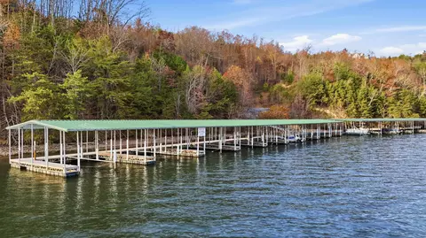 125 Hidden Forest Trl, Spring City, TN 37381