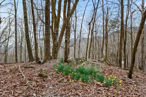 lot8 Raulstontown, South Pittsburg, TN 37380