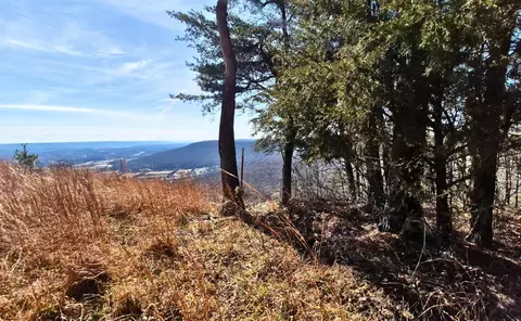 lot9 Lodge Point Rd, South Pittsburg, TN 37380