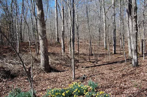 5 Pickett Cross Rd, Whitwell, TN 37397