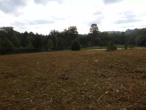 lot43 Meadow Vw Rd #43, Pikeville, TN 37367