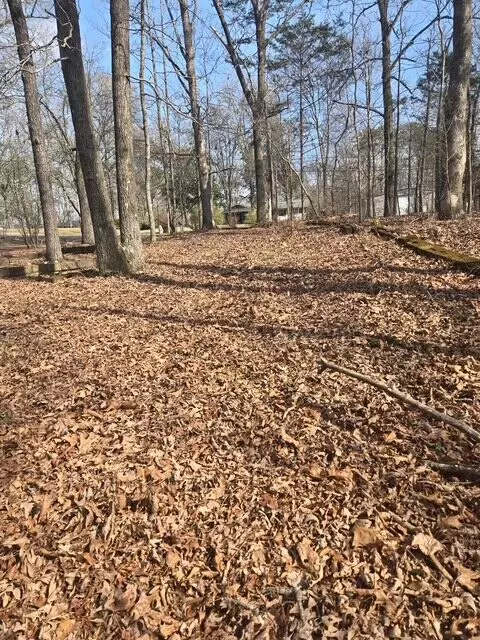 7728 Morgan Estates Rd, Ooltewah, TN 37363