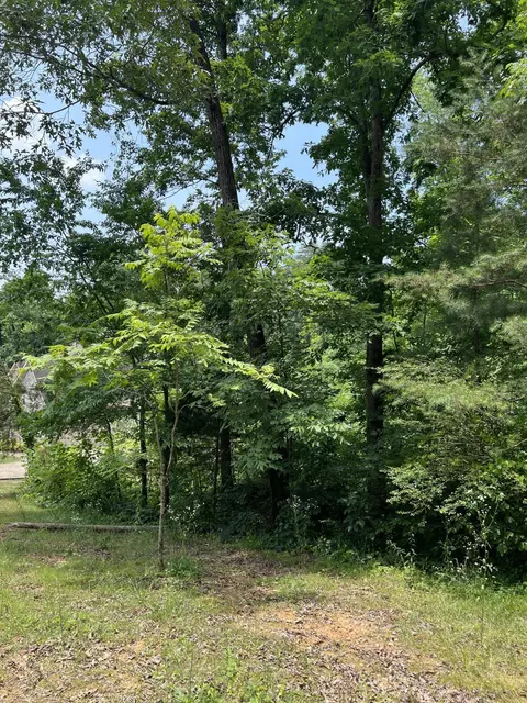 7511 Rocky Ledge Rd, Hixson, TN 37343 photo 4