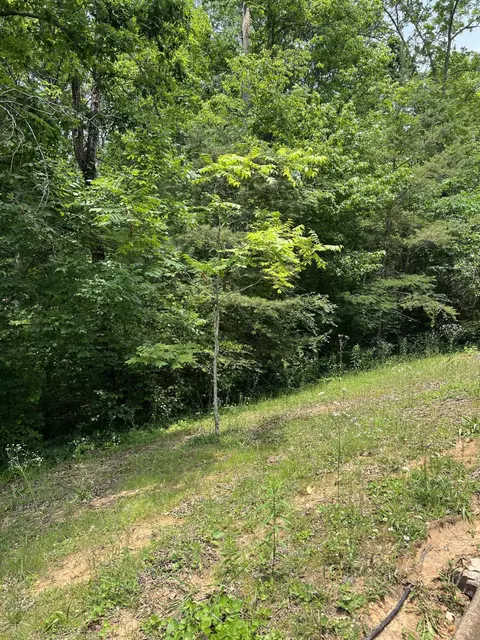7511 Rocky Ledge Rd, Hixson, TN 37343 photo 5