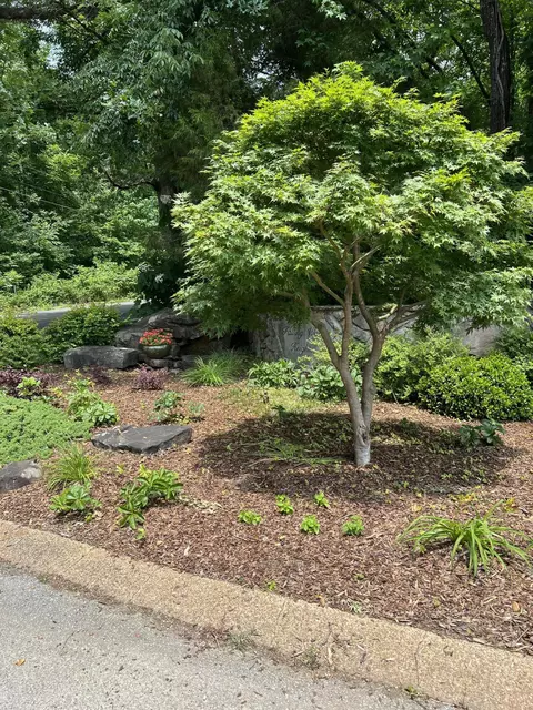 7511 Rocky Ledge Rd, Hixson, TN 37343 photo 10