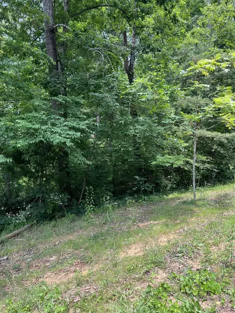 7511 Rocky Ledge Rd, Hixson, TN 37343 photo 6