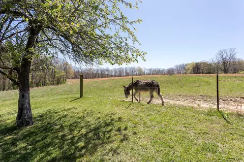 175 Twitty Rd, Dunlap, TN 37327 photo 39