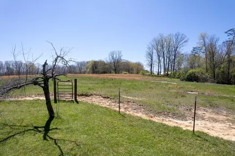 175 Twitty Rd, Dunlap, TN 37327 photo 47