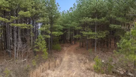 5370 River Bend Rd, Guild, TN 37340 photo 18
