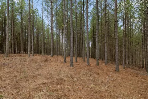 5370 River Bend Rd, Guild, TN 37340 photo 5