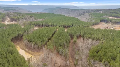 5370 River Bend Rd, Guild, TN 37340 photo 25