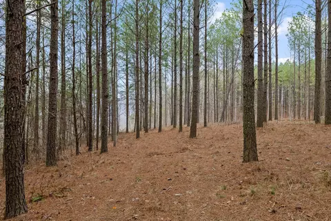 5370 River Bend Rd, Guild, TN 37340 photo 8