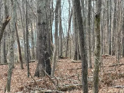 0 Pearson Rd #TRACT 1, Harrison, TN 37341 photo 7