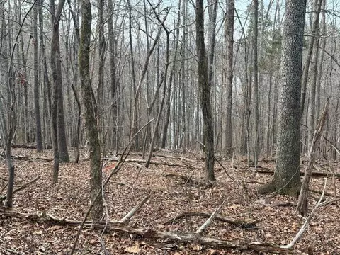 0 Pearson Rd #TRACT 1, Harrison, TN 37341 photo 5
