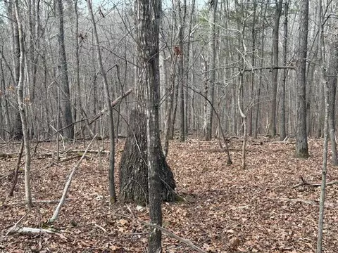 0 Pearson Rd #TRACT 1, Harrison, TN 37341 photo 6