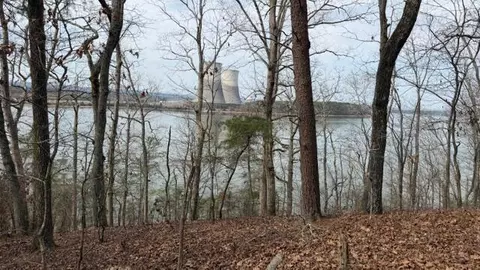 0 Pearson Rd #TRACT 2, Harrison, TN 37341 photo 6