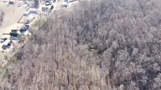 0 Pearson Rd #TRACT 2, Harrison, TN 37341 photo 4