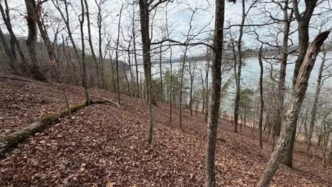 0 Pearson Rd #TRACT 3, Harrison, TN 37341 photo 9