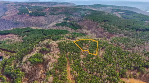 lot2154 Fallen Oak Pass, Guild, TN 37340 photo 6