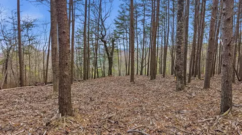 lot2154 Fallen Oak Pass, Guild, TN 37340 photo 12