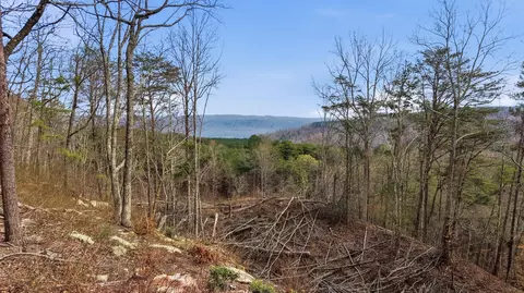 lot2154 Fallen Oak Pass, Guild, TN 37340 photo 3