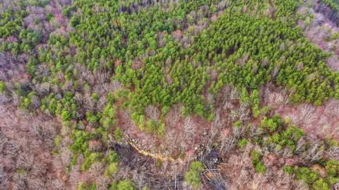 lot2154 Fallen Oak Pass, Guild, TN 37340 photo 9