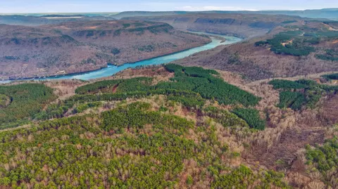 lot2154 Fallen Oak Pass, Guild, TN 37340 photo 4