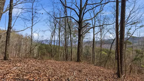 lot2154 Fallen Oak Pass, Guild, TN 37340 photo 2