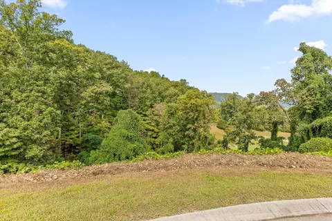 587 Kestrel Ln, Chattanooga, TN 37419