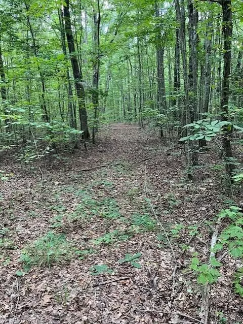 0 Old Collins Rd, Deer Lodge, TN 37726