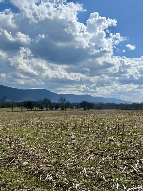 7799 E Valley Rd, Dunlap, TN 37327 photo 8