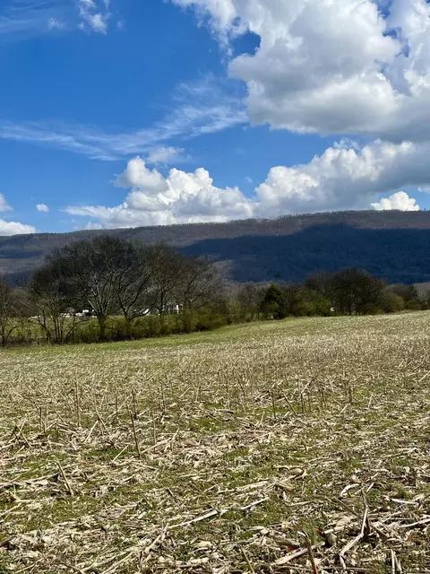 7799 E Valley Rd, Dunlap, TN 37327 photo 9